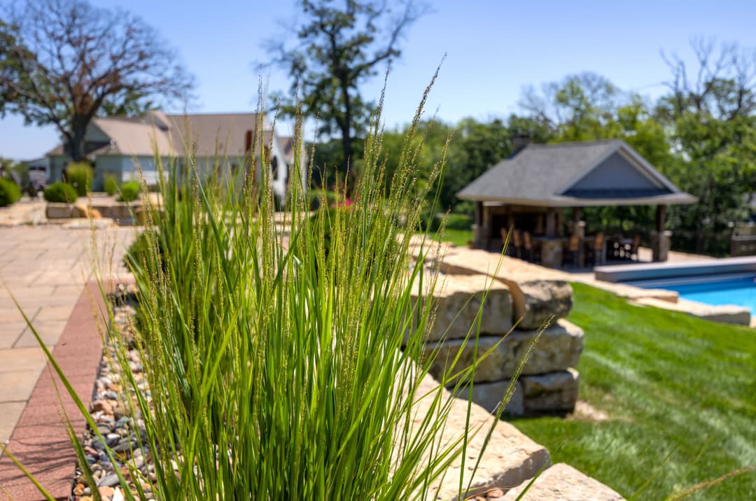 Lush green grass growing beside a stone path and a poolside gazebo in a sunny backyard.