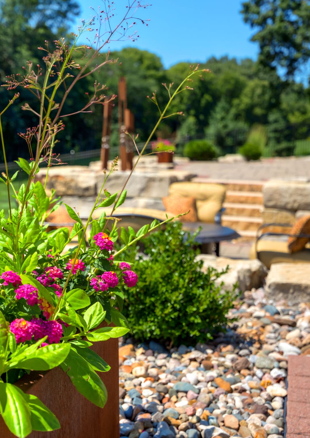 Vibrant pink flowers in a garden setting with stone patio and greenery in the background.
