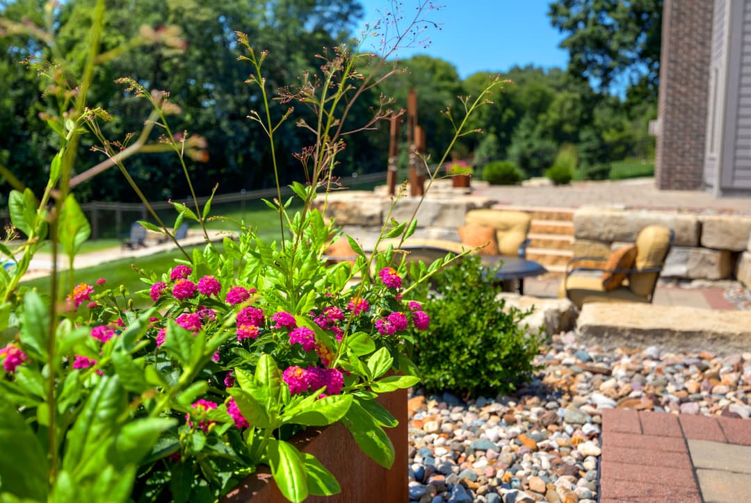 Vibrant pink flowers in a garden pot with a patio and lush greenery in the background.