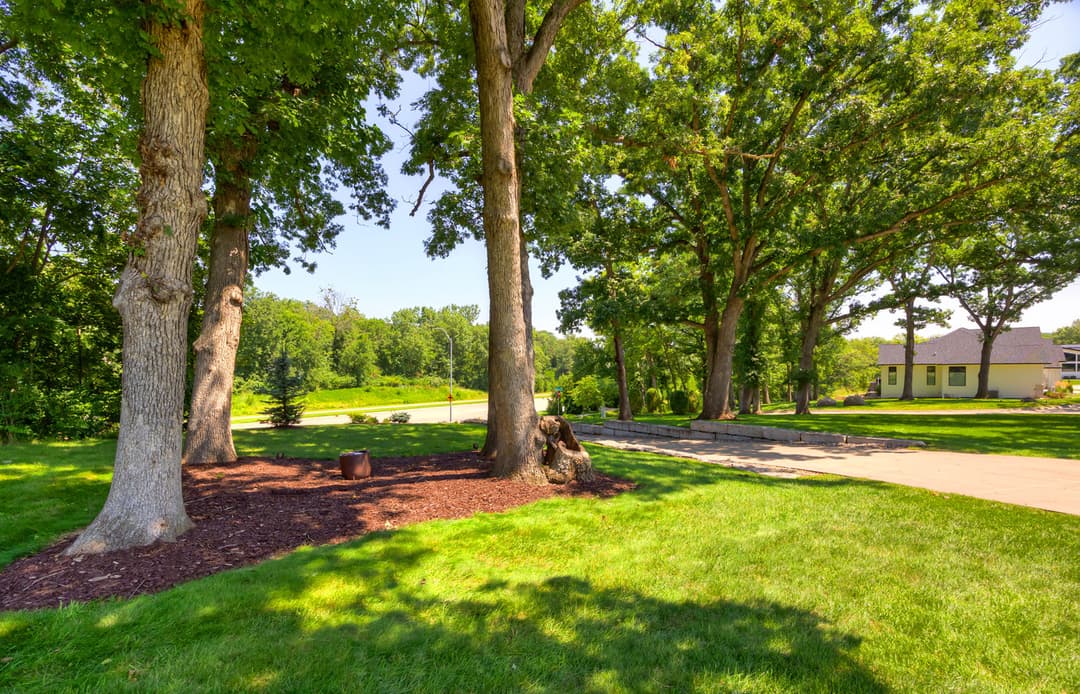 Lush green landscape with tall trees, path, and sunny sky in a serene outdoor setting.