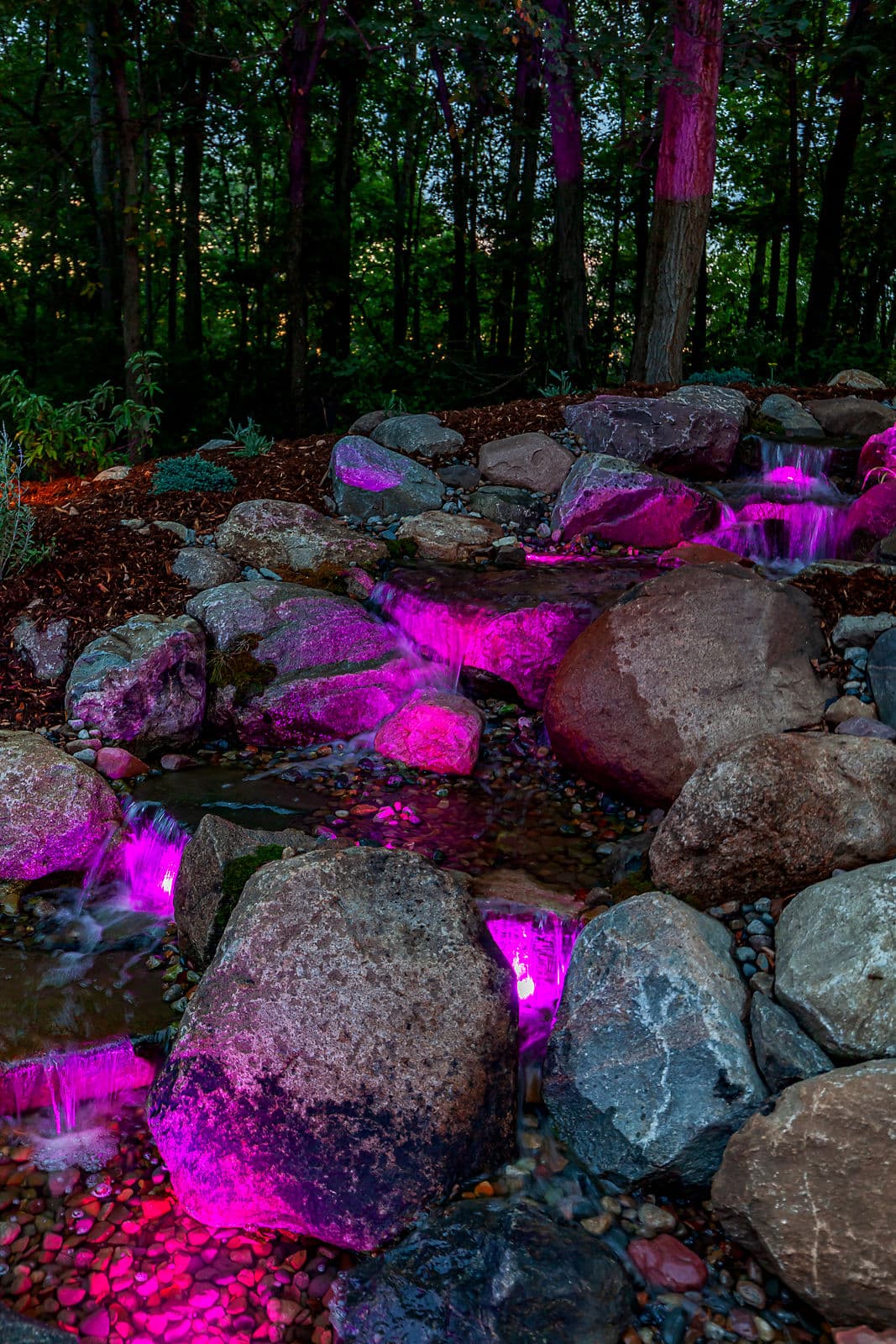 Glow of pink lights illuminating a rock-filled stream in a serene forest setting.