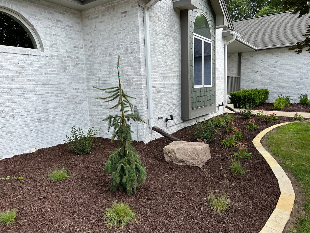 Home exterior with manicured landscape featuring a small evergreen tree and fresh mulch.