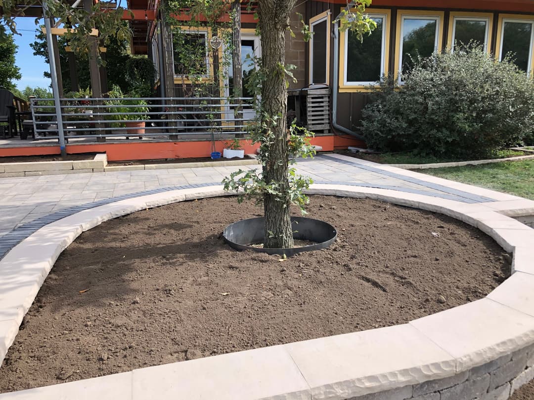 Tree surrounded by a curved stone border in a landscaped backyard.