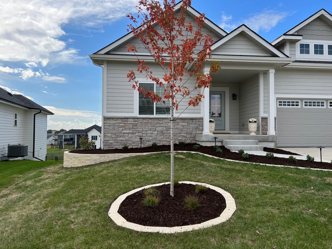 Newly built home featuring a landscaped front yard with a decorative tree and stone accents.