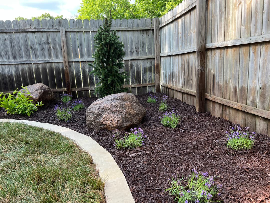 Landscaped backyard corner featuring rocks, purple flowers, and a cedar tree near a wooden fence.