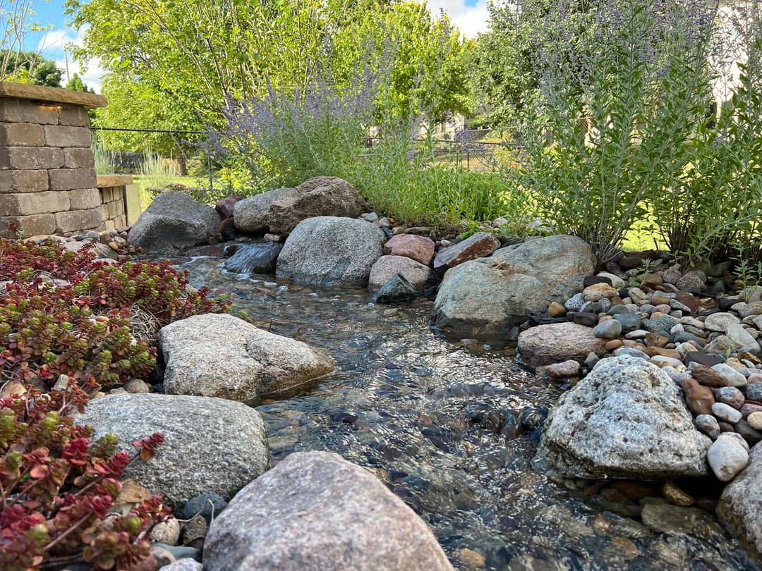Tranquil garden stream with rocks surrounded by lush greenery and colorful plants.