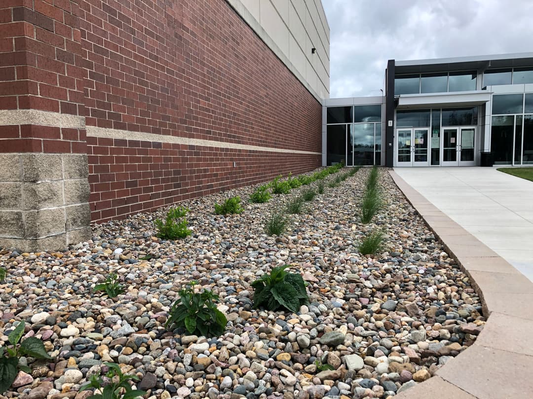Modern building entrance with stone landscaping and low plants in front.