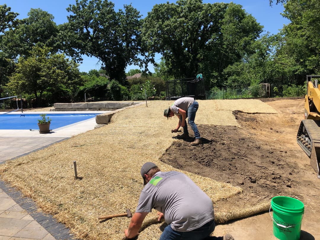 Workers installing sod in a backyard near a pool, surrounded by trees in bright sunlight.