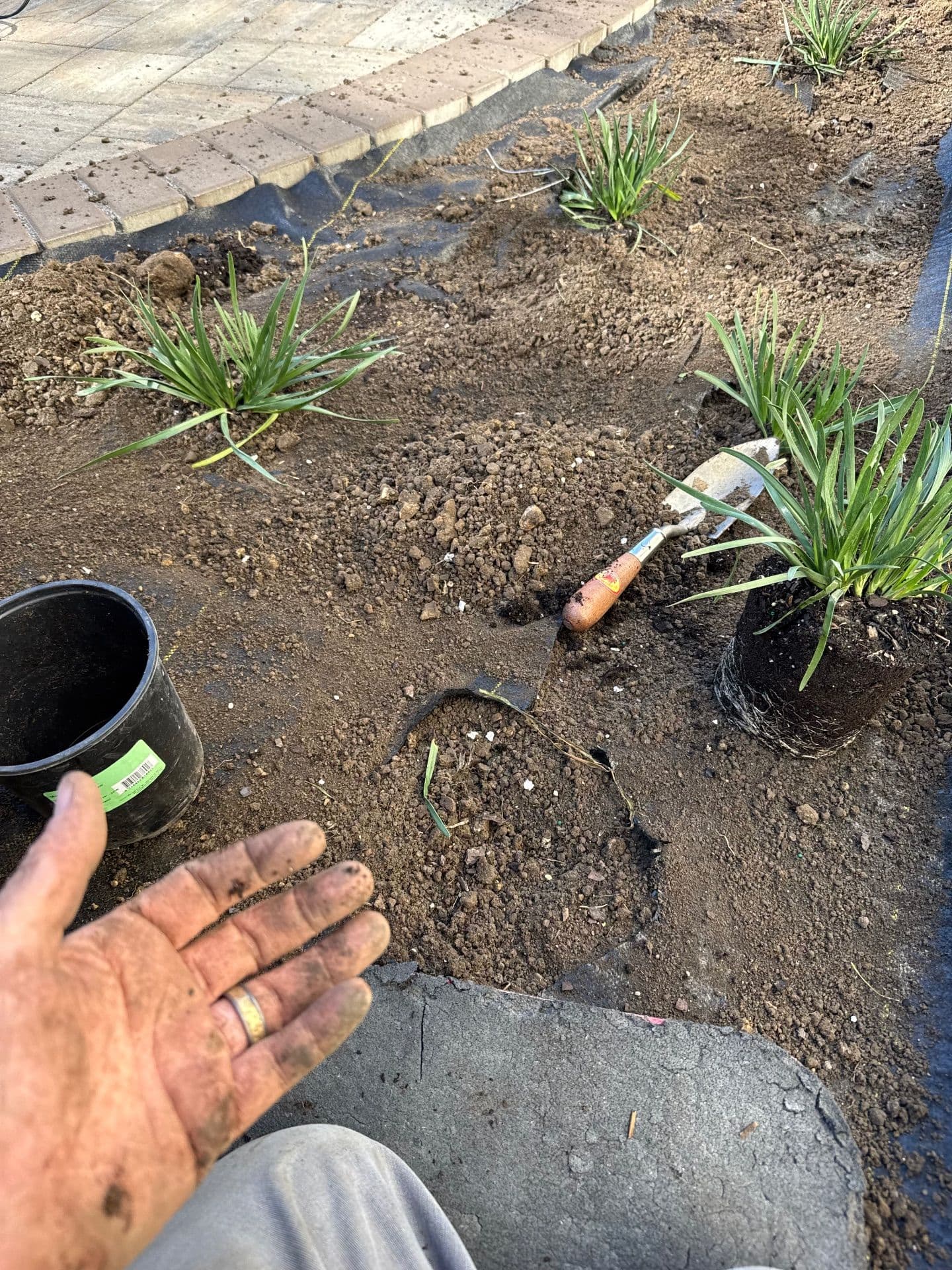 Gallery photos for Beautiful Landscape Transformation in Urbandale: Image #4