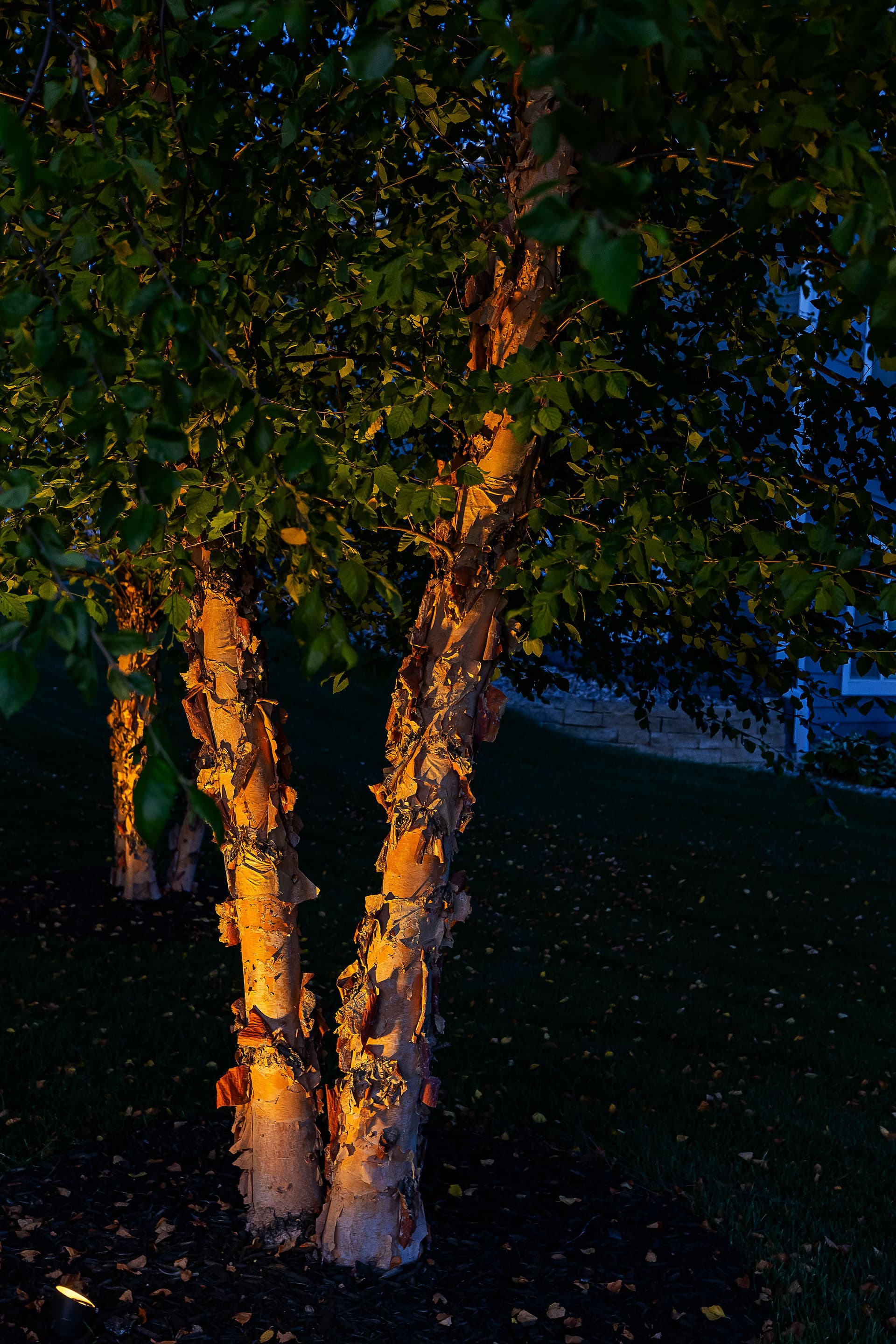 Gallery photos for Kichler LED Landscape Lighting Done Right in Norwalk: Image #4