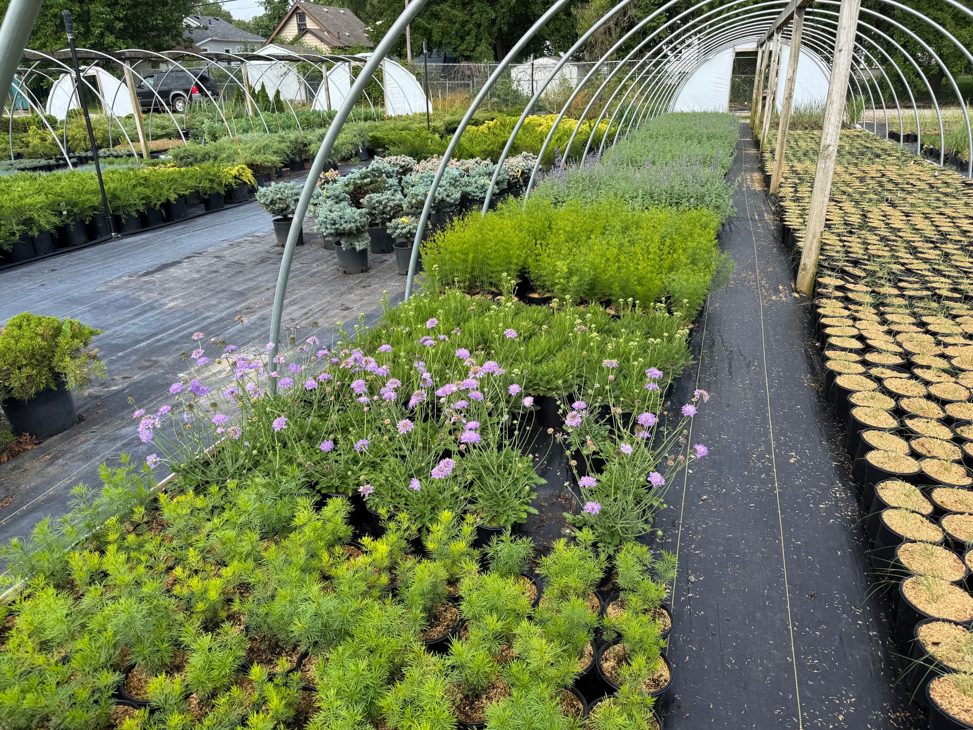 Gallery photos for Countdown to Spring: Explore New Blooms: Image #2